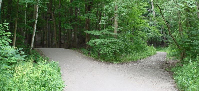 Sometimes the road less traveled is the quickest way to reach your destination. Sometimes the road less traveled is the quickest way to reach your destination.